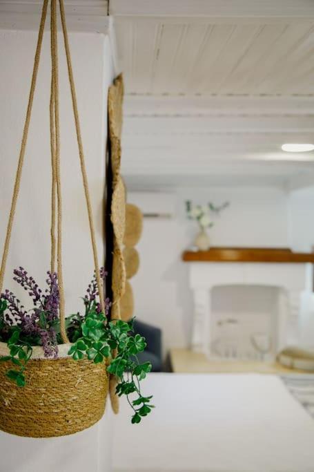 Yard- Family Retreat Apartamento Corinth Exterior foto